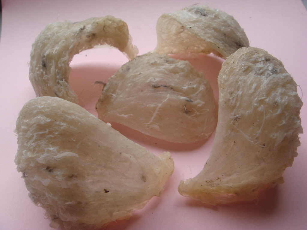 Thành phần của tổ yến trắng sơ chế Khánh Hòa Thành phần của tổ yến trắng sơ chế Khánh Hòa