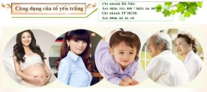 Yến sào khánh hòa giúp hỗ trợ điều trị ung thư