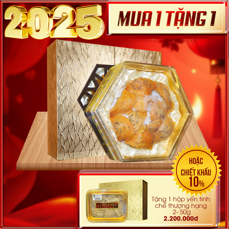 Yến huyết thô thượng hạng (100gr/hộp) Y072